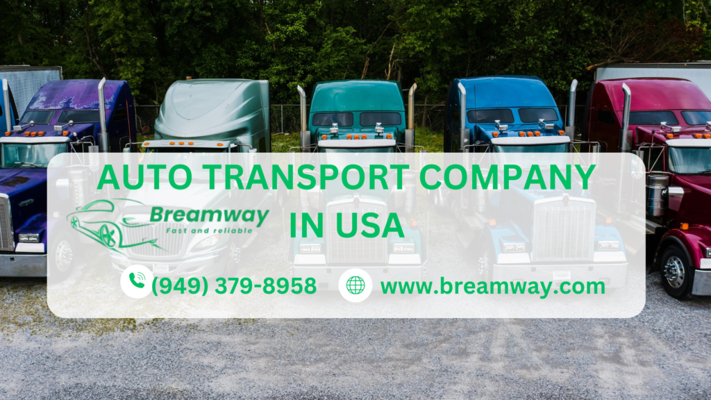 car transport companies in florida