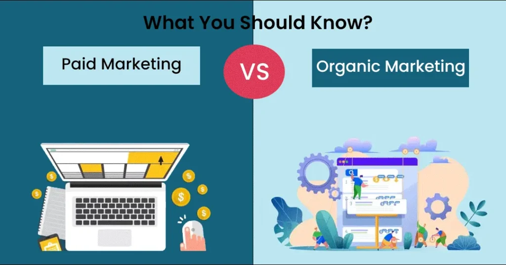 Paid vs. Organic Which Digital Marketing Channels Deliver the Best ROI