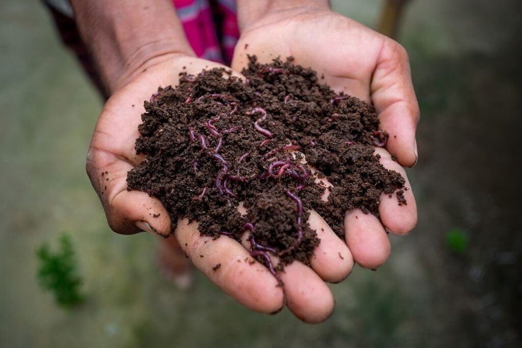 Vermicompost Manufacturing Plant