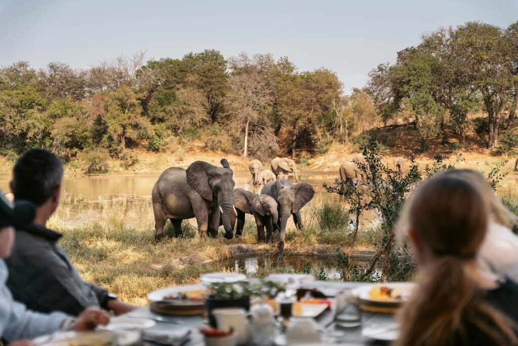 best safari in Africa