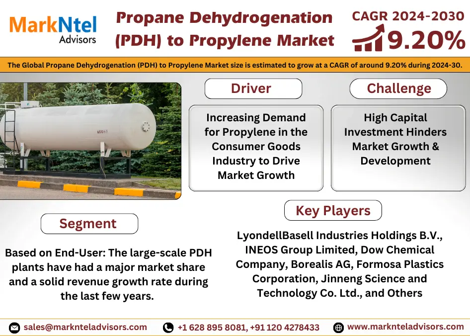 Propane Dehydrogenation (PDH) to Propylene Market